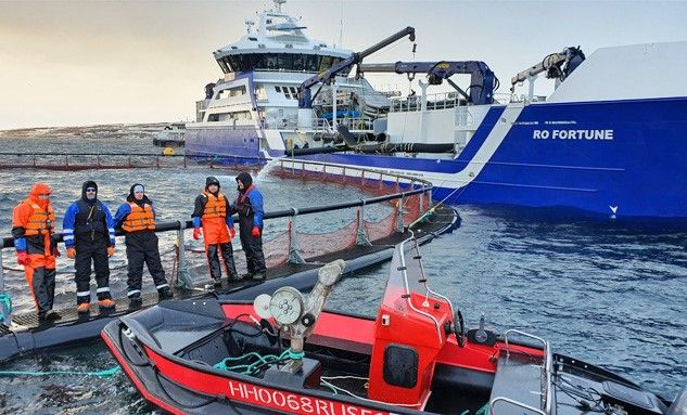 Круглопрядные стропы (КСК) для компании "Русский лосось"